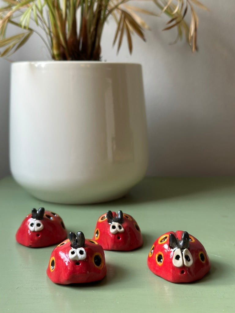 Little Momos