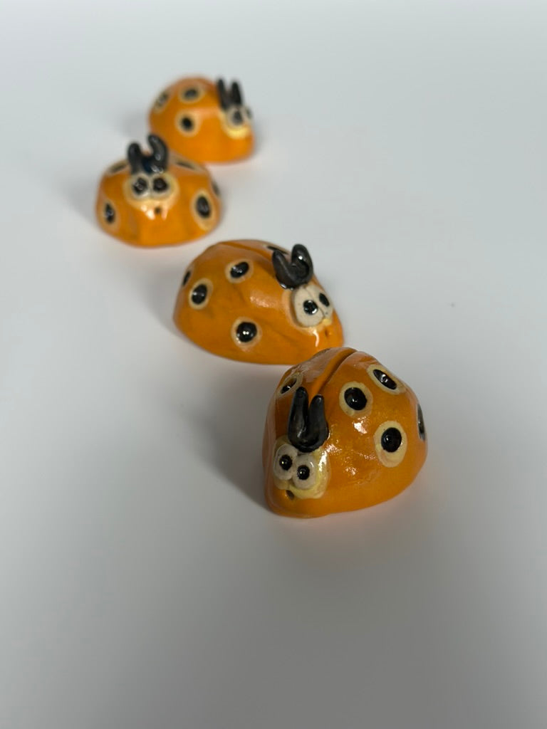 Little Momos