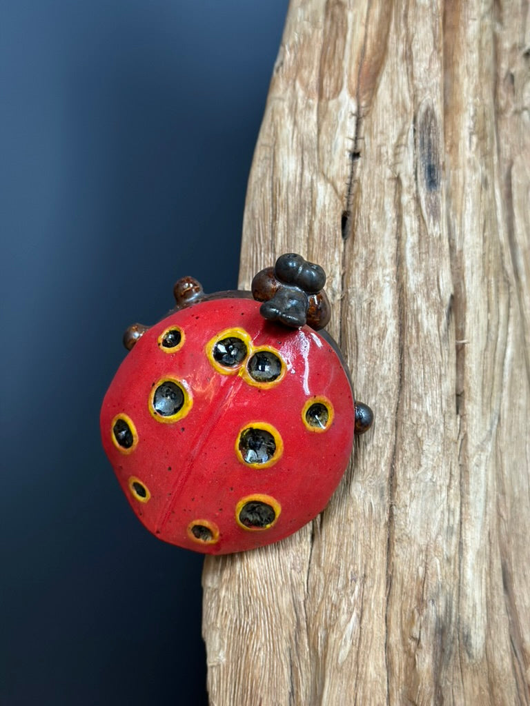 The Spotted Valarins