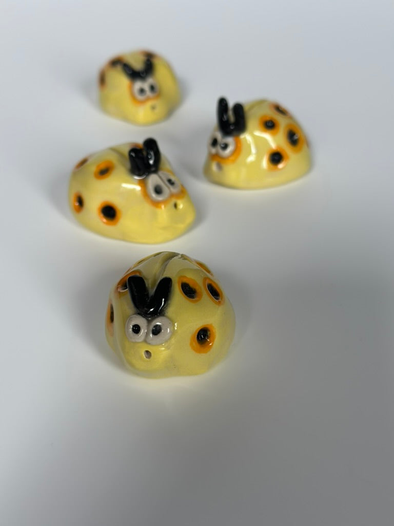 Little Momos