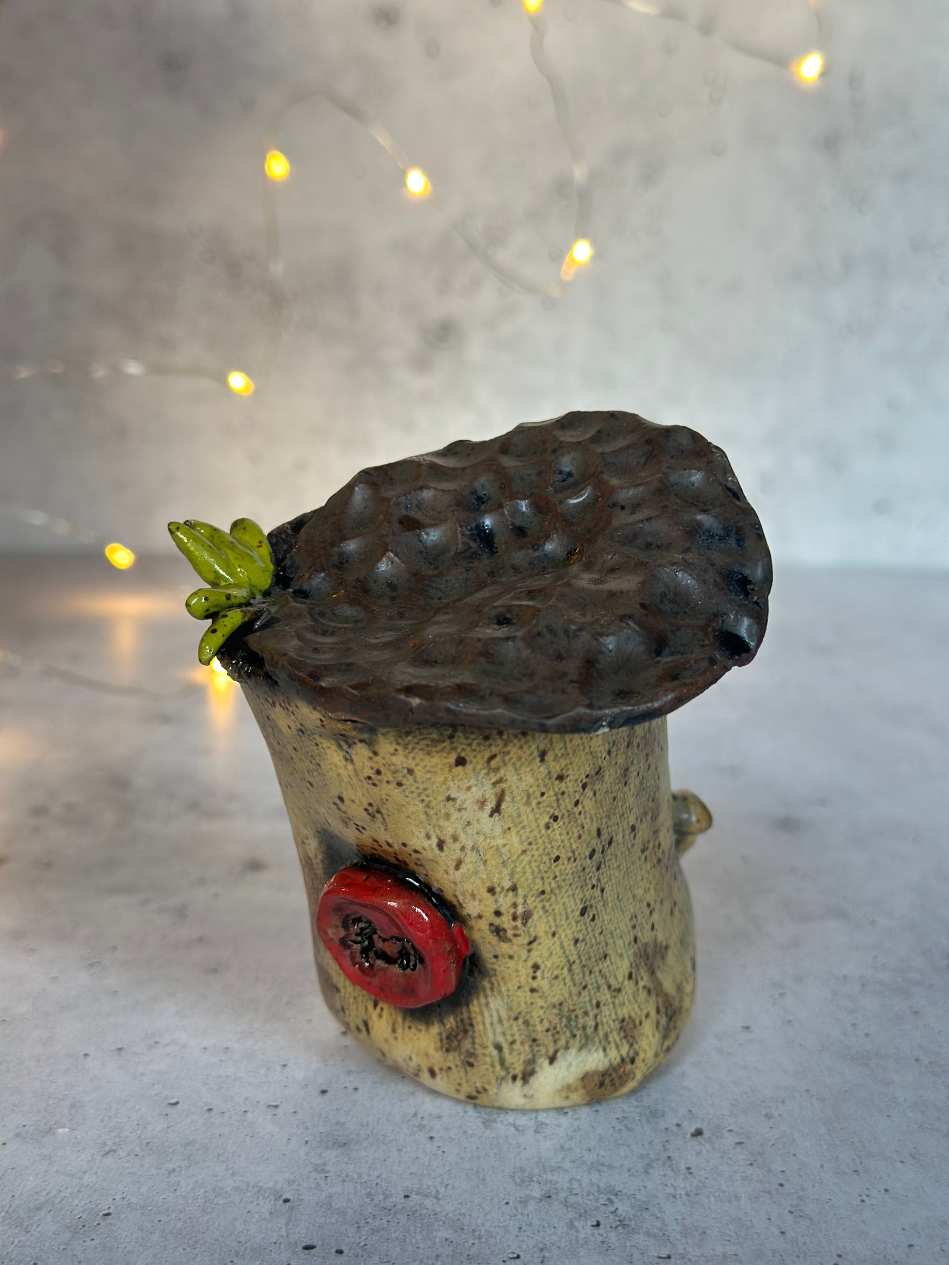 Back of an acorn with green leaves coming out the top