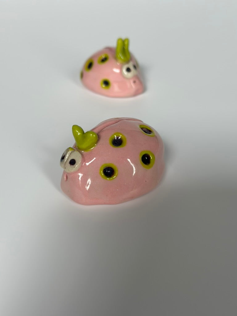 Little Momos