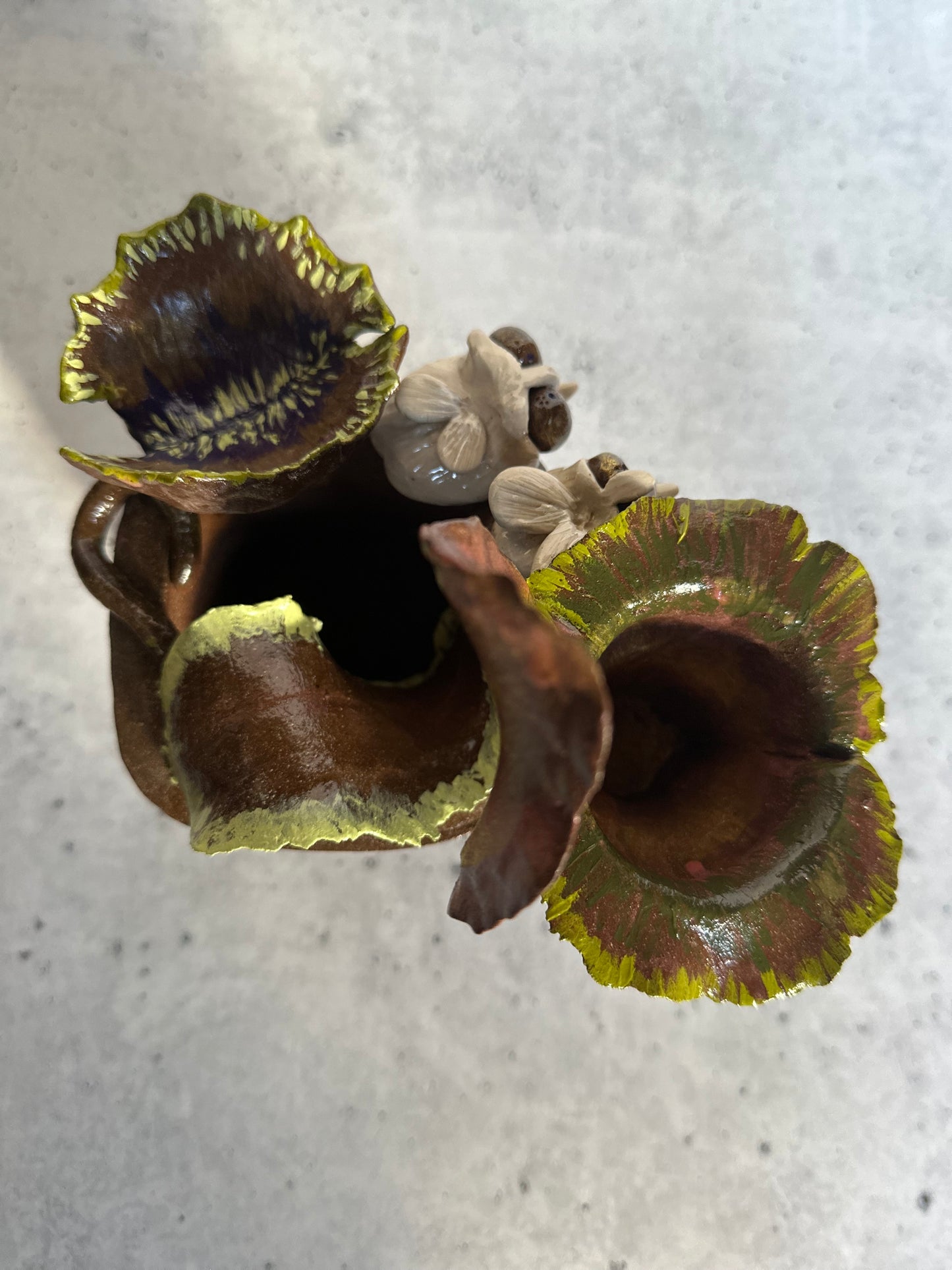 PItcher plant, venus fly trap and flies