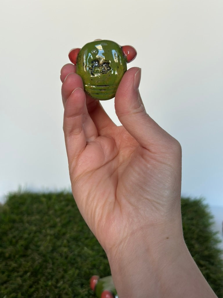 Hand holding a small green frog against a white background