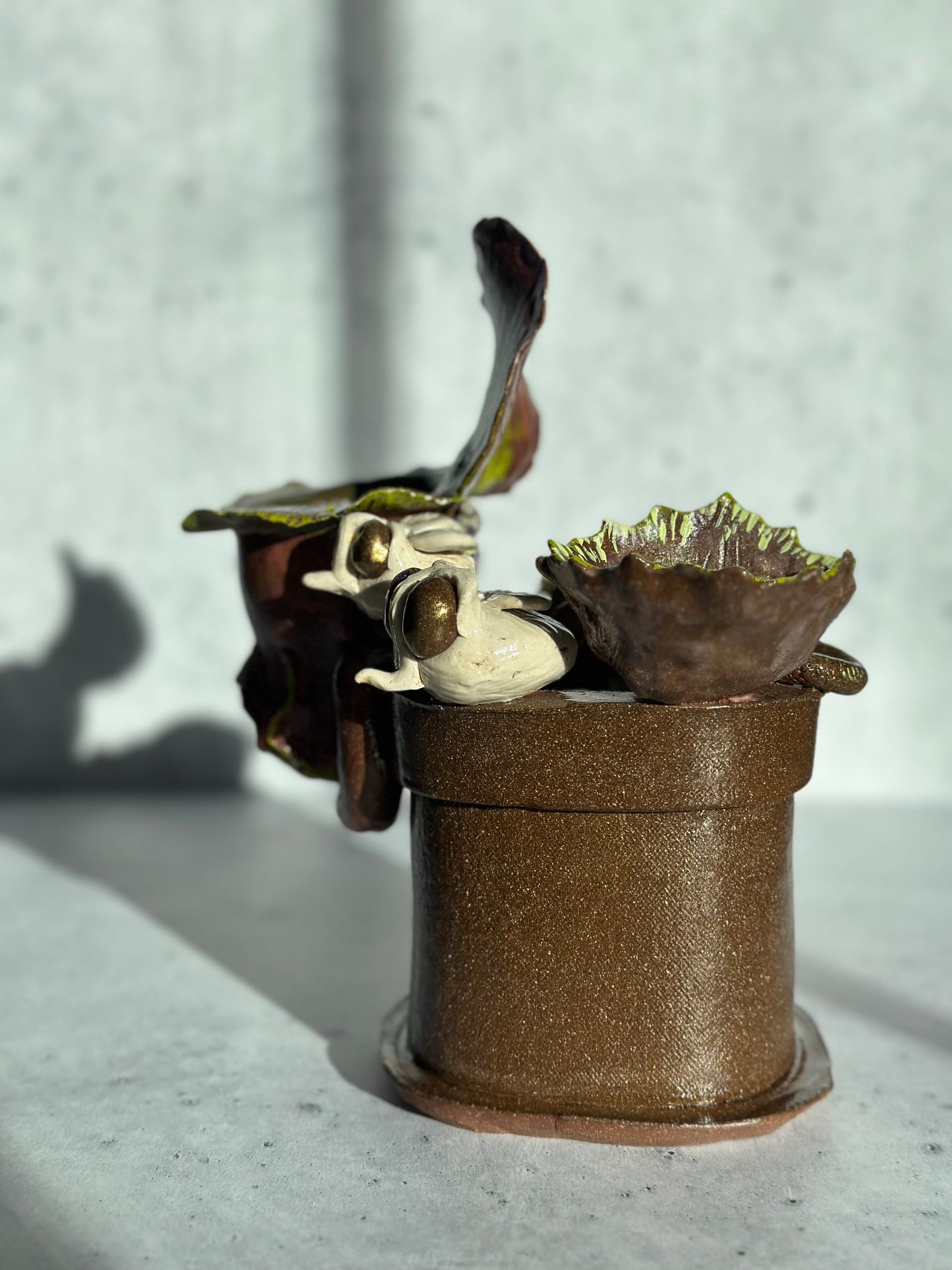 PItcher plant venus fly trap and flies