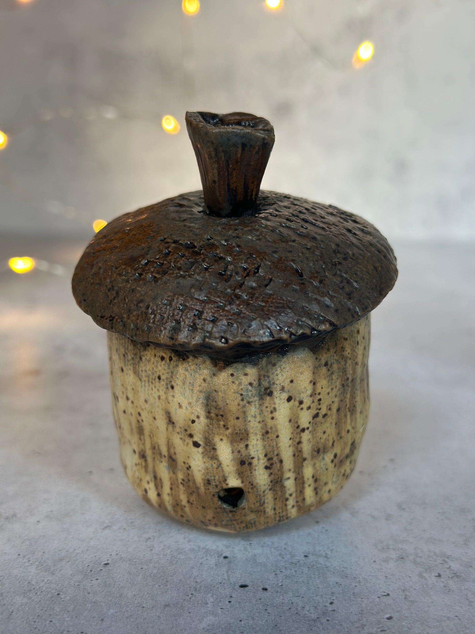 Ceramic acorn with textured surface on a neutral background