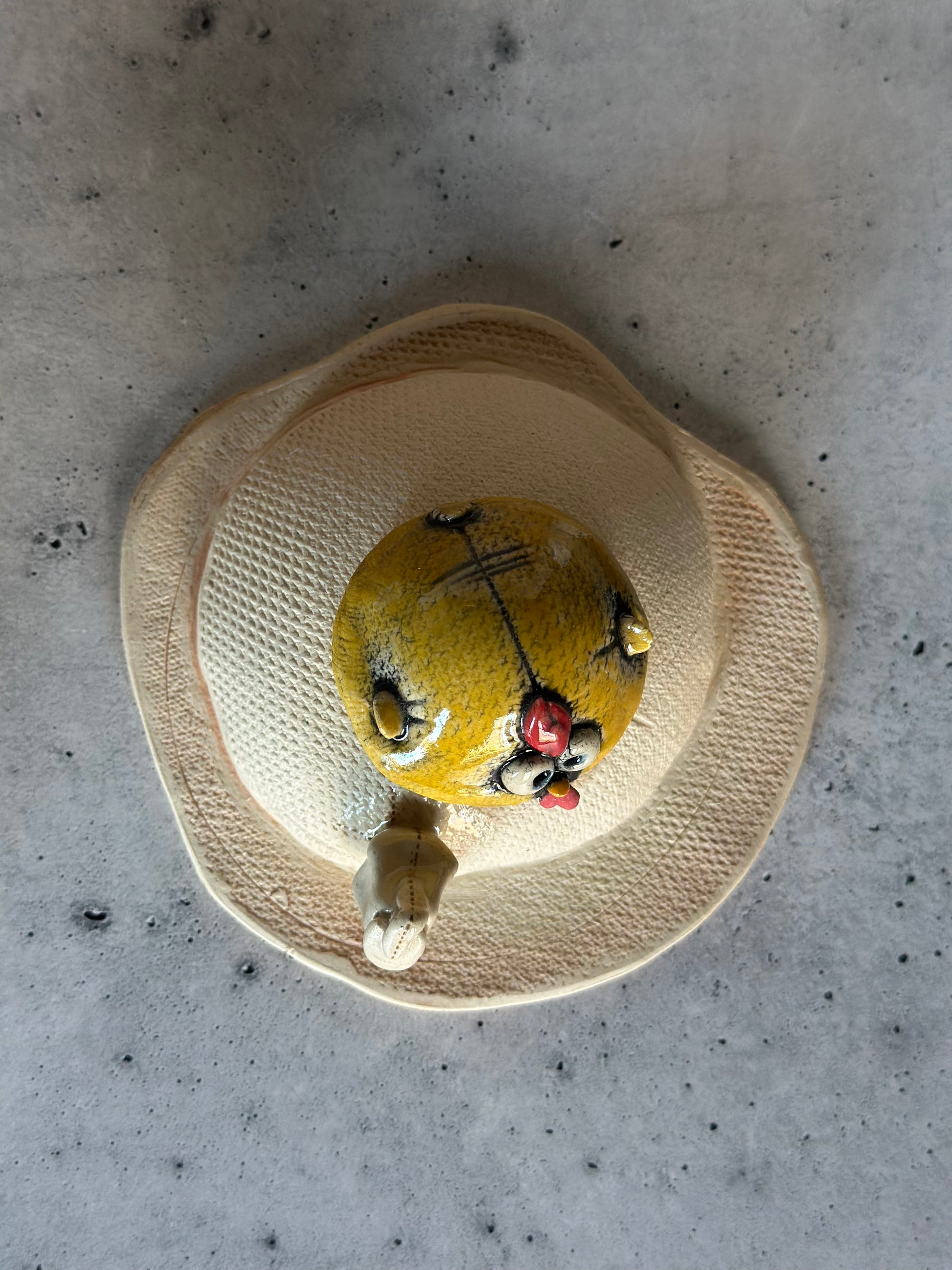 Top view of chicken on egg on concrete surface